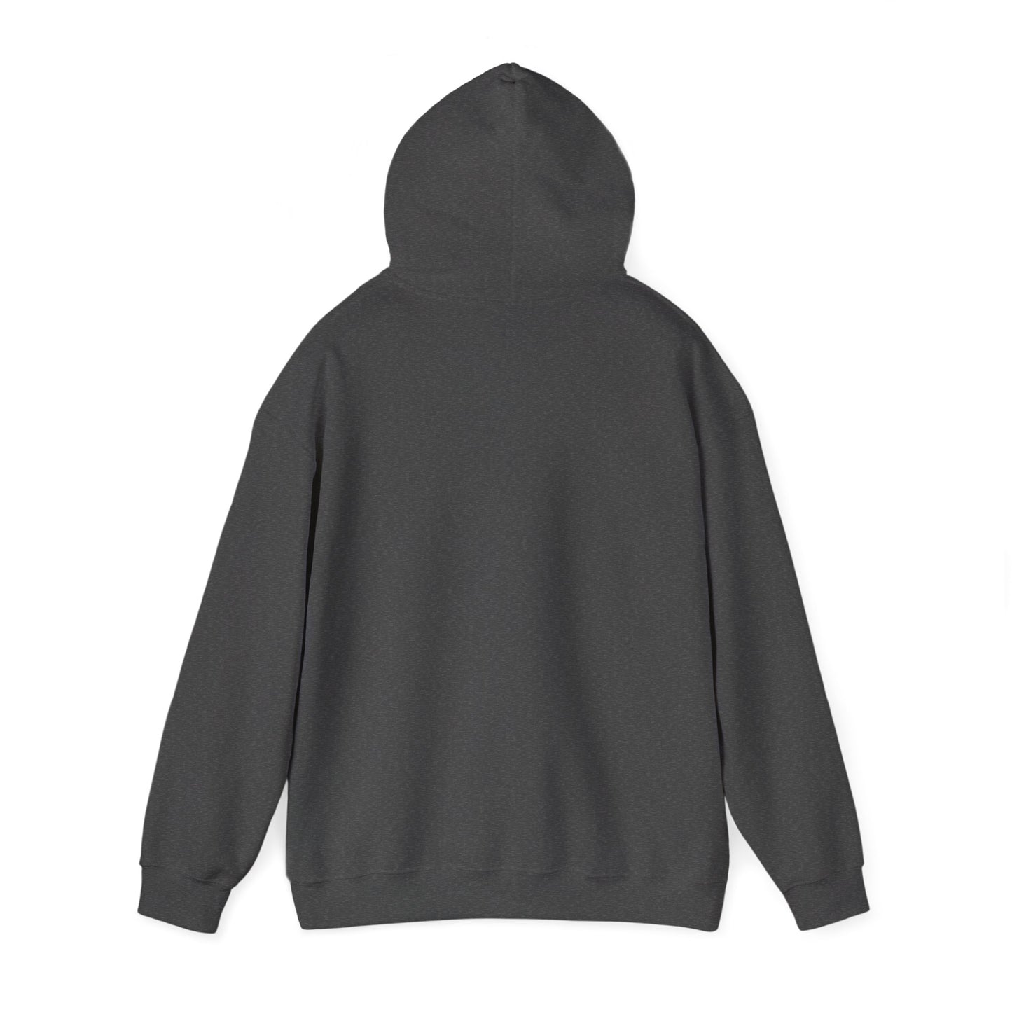 Sorry Can't Volleyball Unisex Heavy Blend™ Hooded Sweatshirt
