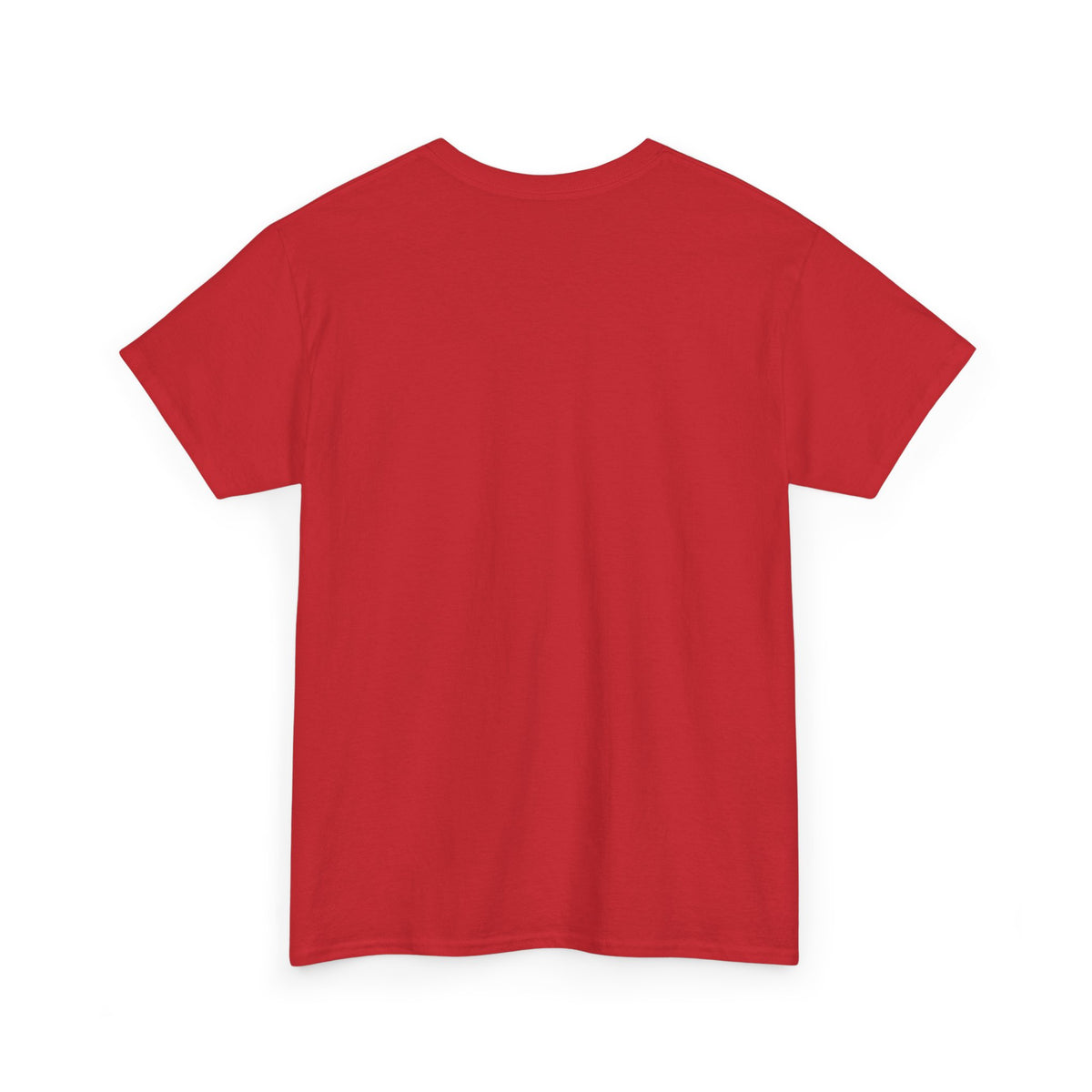 Catholics vs Alcoholics Football T-Shirt – Lambeau Field Tailgate Tee