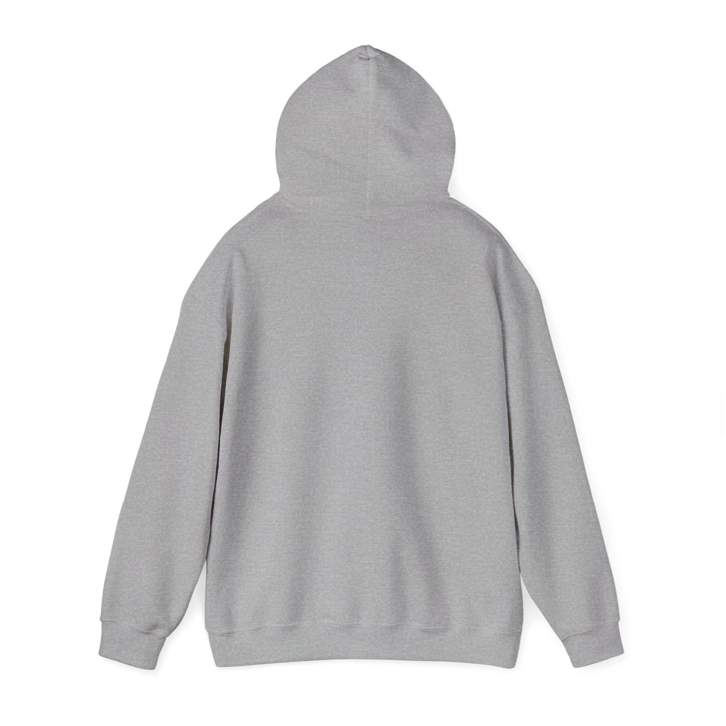 Sorry Can't Volleyball Unisex Heavy Blend™ Hooded Sweatshirt