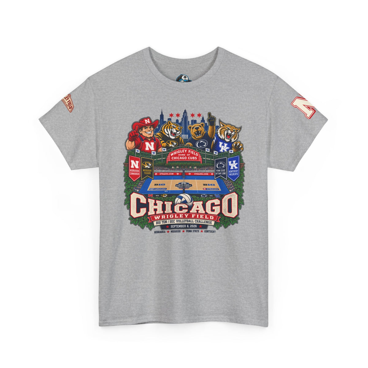 Chicago Wrigley Field Volleyball Vintage Stadium Tee